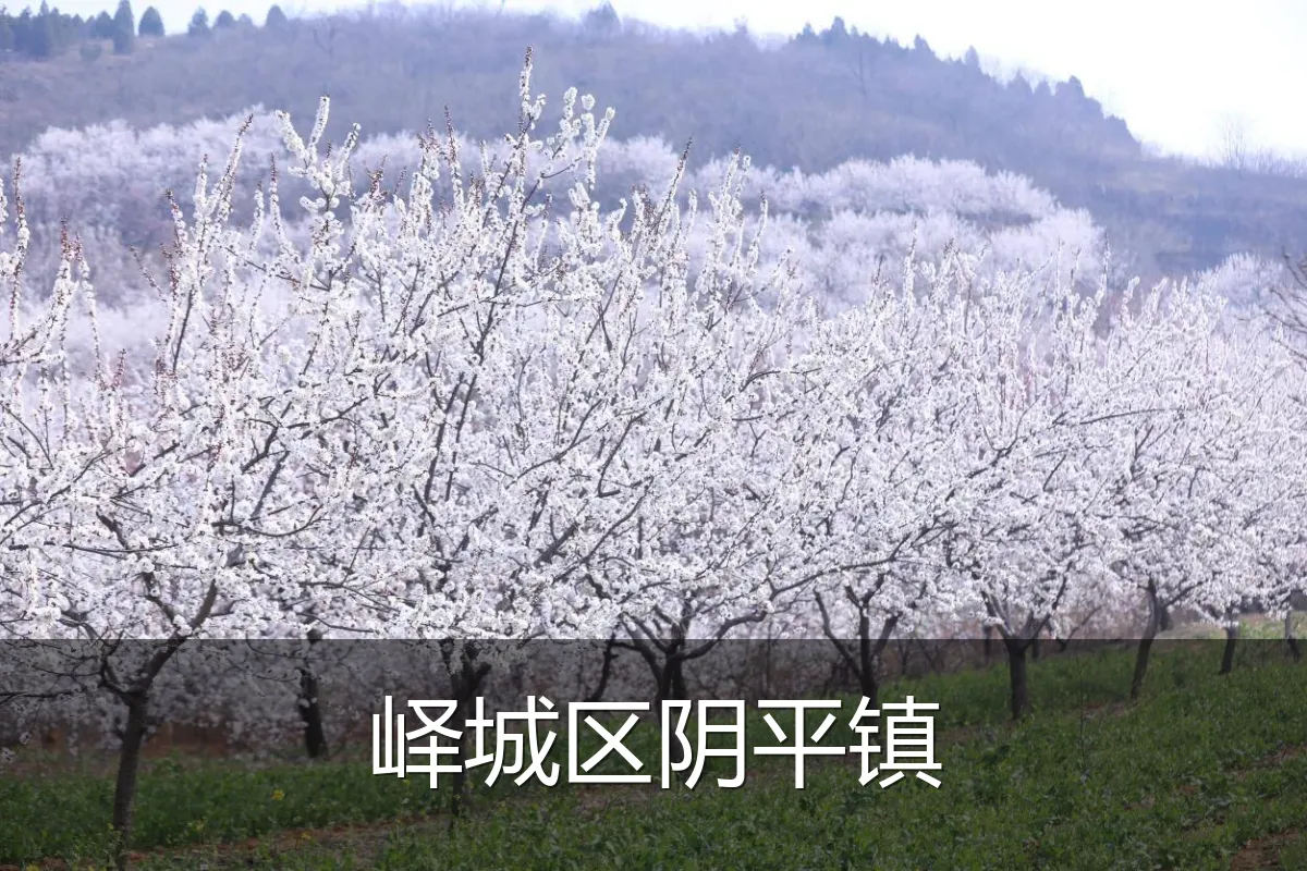 峄城区阴平镇
